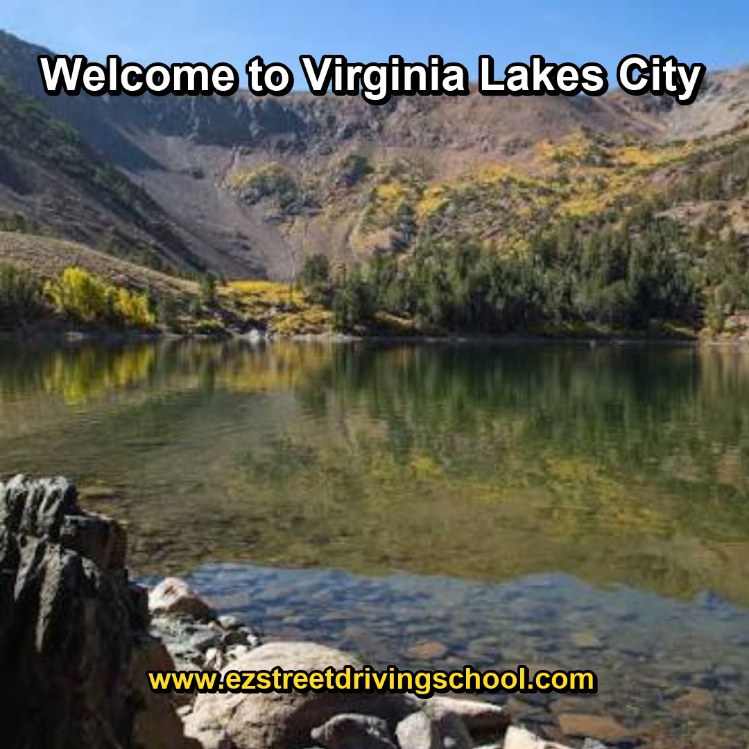 Driving Lessons in Virginia Lakes